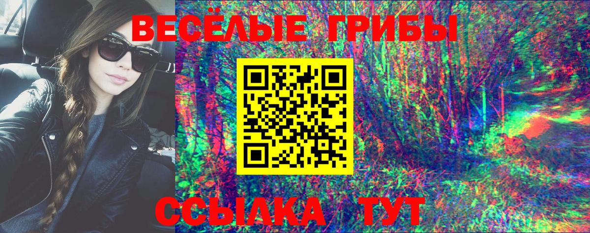Галлюциногенные грибы GOLDEN TEACHER Томск